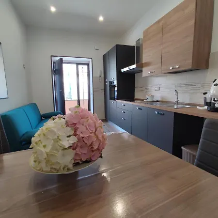 Ortensie * Torre del Greco